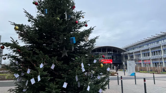 2025-11-27 Wunschbaum Start StA 5b Foto Daniela Greulich