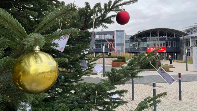 2025-11-27 Wunschbaum Start StA bearb 7b Foto Daniela Greulich