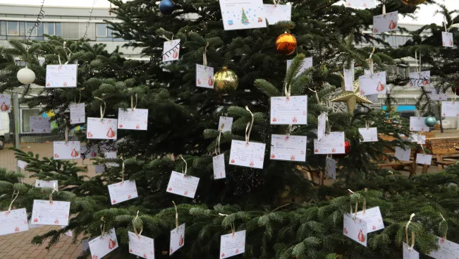 2025-11-28 Start Wunschbaum Aktion Rheinbach_Foto Martin Schulz (82)