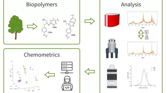 PolySpeC_Übersichtsgrafik