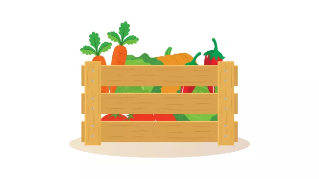 Lebensmittelverluste IZNE Projekt