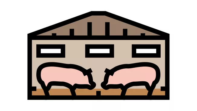 Grafik Projekt Haltungsformen IZNE