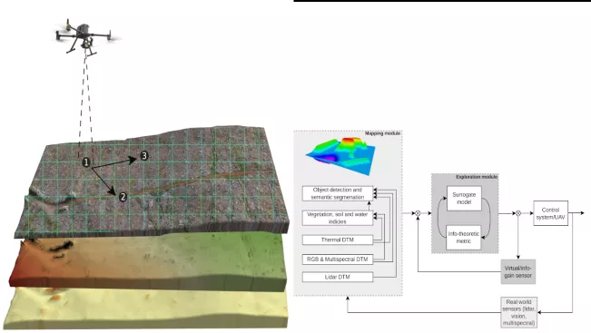 Adaptive Exploration and Active Mapping for Forest Environmental Monitoring