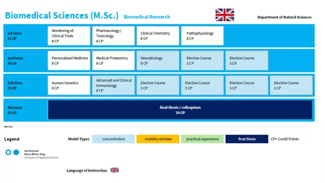 Studienverlaufsplan / Study plan Biomedical Sciences (MSc)- Biomedical Research