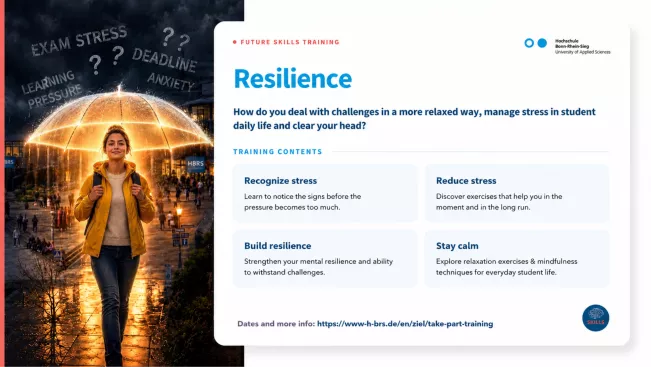 OnePager Resilience