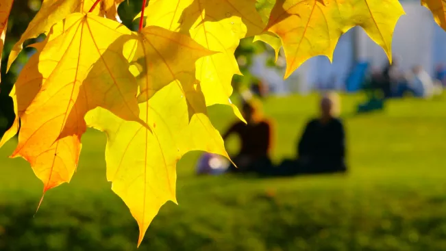 herbst-veranstaltungen_teasercut.png (DE)