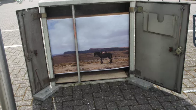 kunstorte_nr_14_sta_20160511_foto_y._weber_27.jpg (DE)