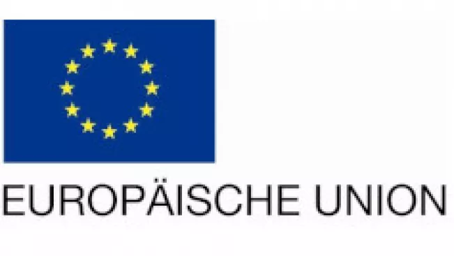 eu_linksbuendig.jpg (DE)
