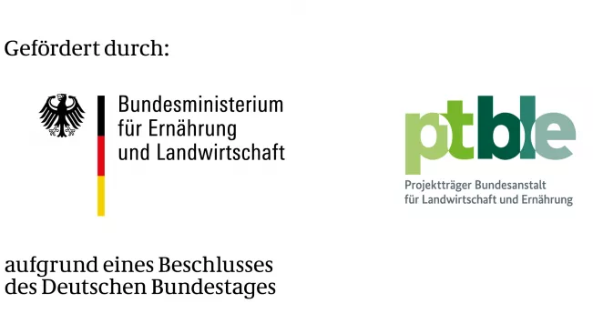 kombimarke_gefoerdertbmel_ble_ptble.jpg (DE)
