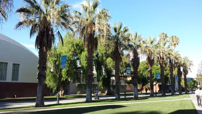 palmenallee_san_jose_kalifornien_2018_foto_c._salega.jpg (DE)