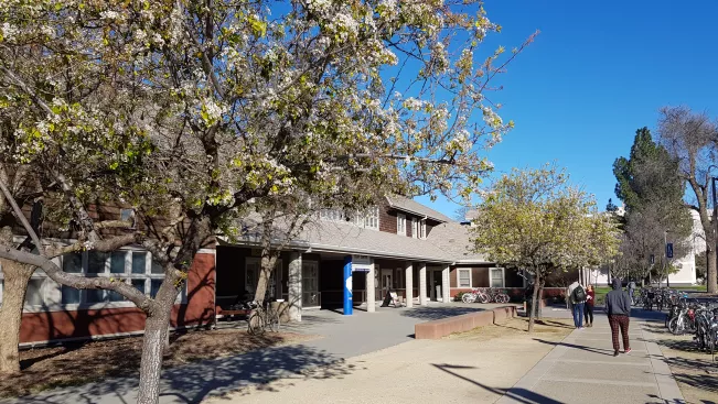 2019_02_ucd_campus_reith.jpg (DE)