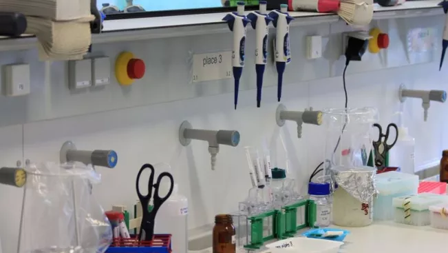 fb05_bio_arbeitsplatz.jpg (DE)