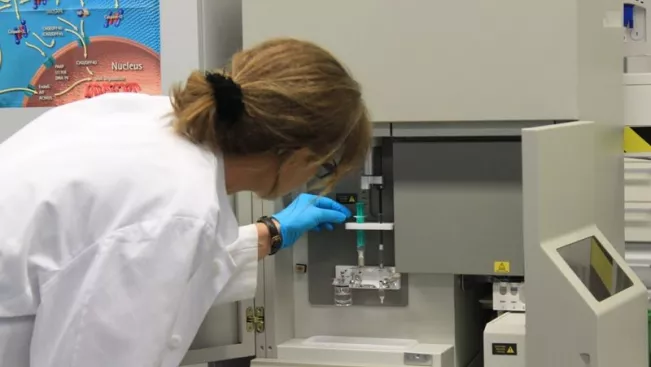 Labor Biologie Kapillarelektrophorese