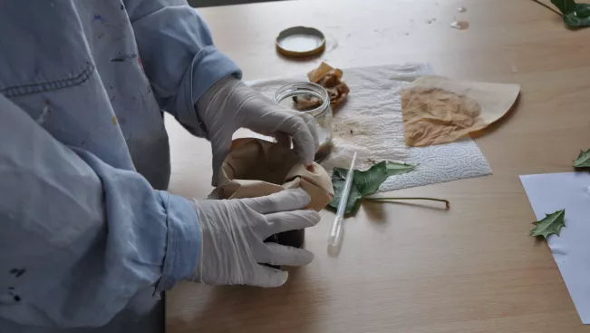 schuelerlabor_nanotechnik2_kuesgens_2016.jpg (DE)