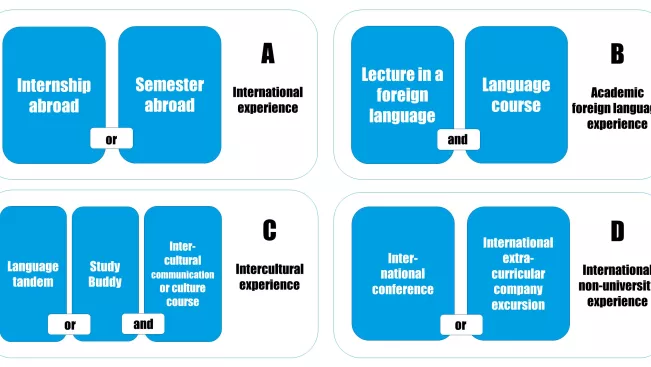 ICS certificate component selection (graphic content described on the page) (EN)