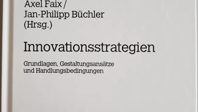 buch_innovationsstrategien.jpg (DE)