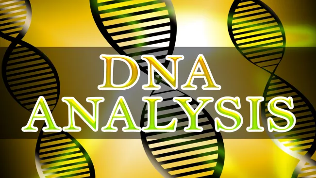 colourbox24113821 (DE)