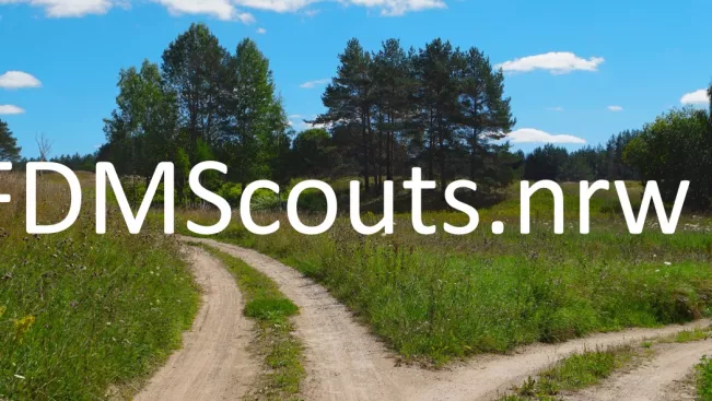 fdmscout_teaser.jpg (DE)