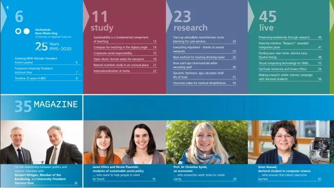 screenshot_contents_annual_report_2019_diffusion.jpg (DE)