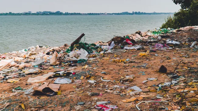 verschmutztes Ufer-foto Felix Varga.jpg (DE)