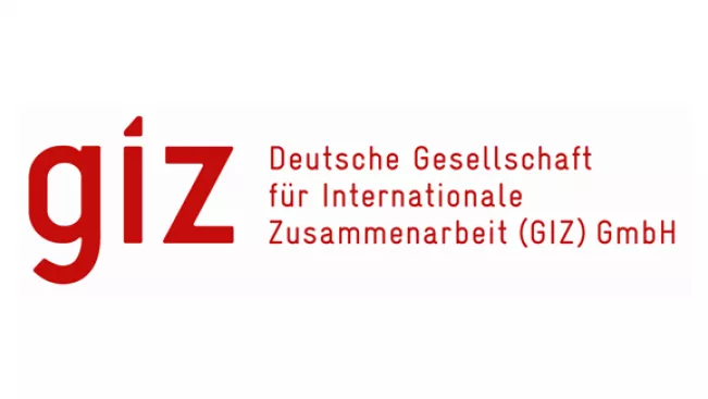 web_gizlogo.jpg (DE)