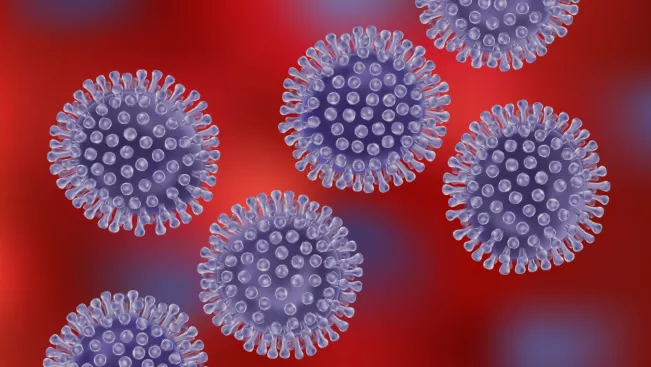 Das Coronavirus (Foto: Colourbox) (DE)