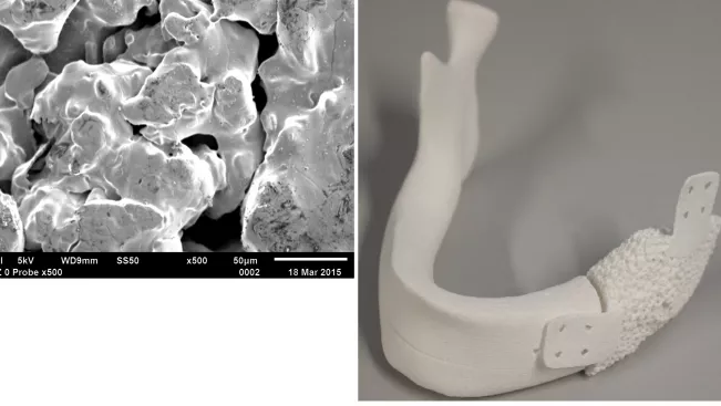 fb05_bild_forschungsprojekt_fe-sem-micro-ct_witzleben.png (DE)
