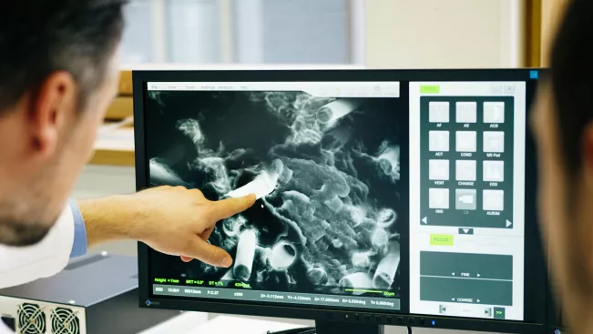 tree_prof._steinhaus_und_mitarbeiter_labor_lehrsituation_rheinbach_foto_elena_schulz_teasercut.jpg (DE)