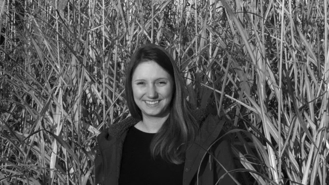 walbrueck-katharina_teasercut_miscanthusfeld-campus_klein-altendorf_foto_lueders_moll.jpg (DE)