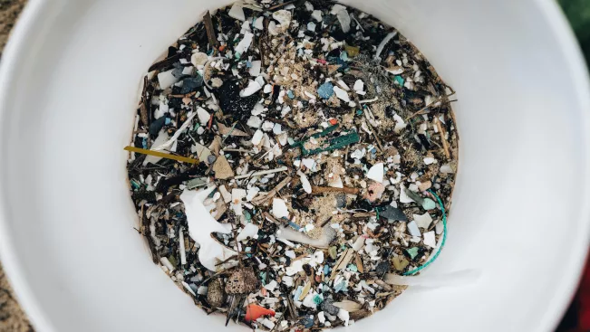 Schmuckbild Mikroplastik "pexels-alfo-medeiros-12026134"