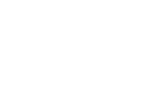 TOFI Project Titel_23