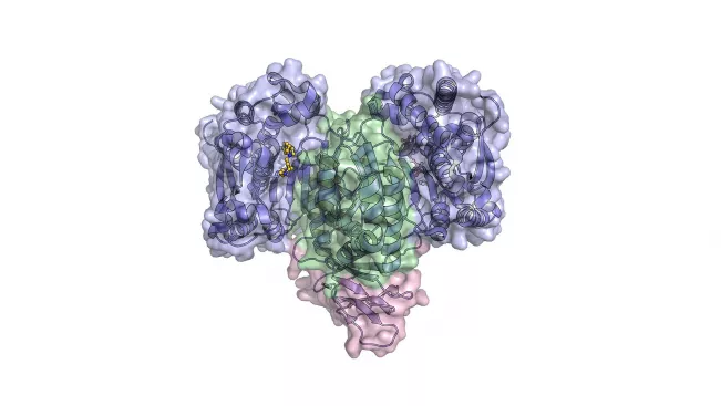 Functional Cell Analytics Molecules and proteins