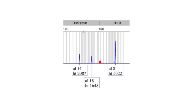 Nucleic acid center forensic dna analysis