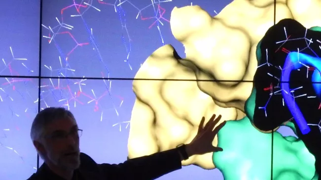 IVC virtuelle Räume Hornet Heiden