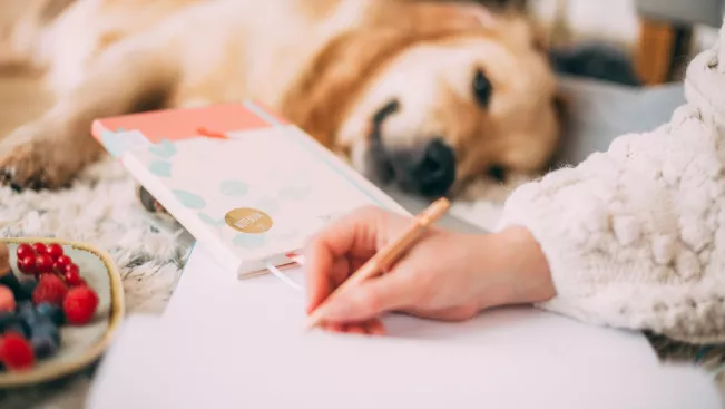 pepalani-35.jpg (DE)