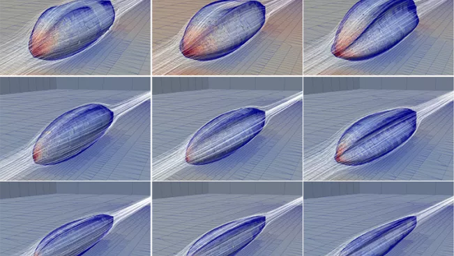 sailshapes.png (EN)