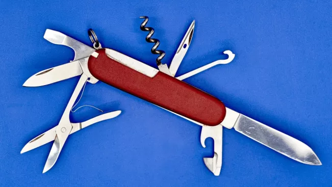 schweizer_taschenmesser_flexibilitaet_colourbox_16415953.jpg (DE)