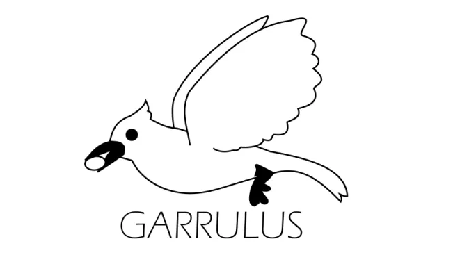 logo_garrulus.png (DE)