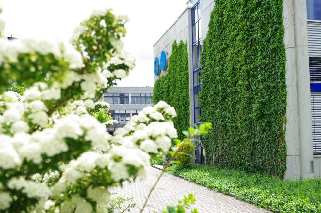 Campus StA im Frühling Blaue Ringe 2009 Fotowettbewerb (DE)
