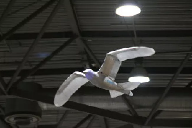 20160701_fbinf_hall2and4l_robocup_wm_2016_leipzig_kw_bild0011-teaser.jpg (DE)