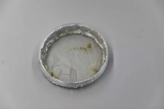 20200124_fbinf_tag_der_offenen_labore_kw_img_048.jpg (DE)