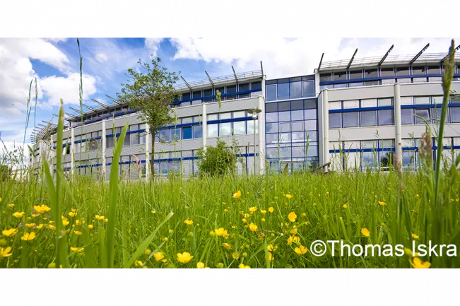 Wiese mit Gebäude Sankt Augustin Thomas Iskra click-it Teasercut 16-9