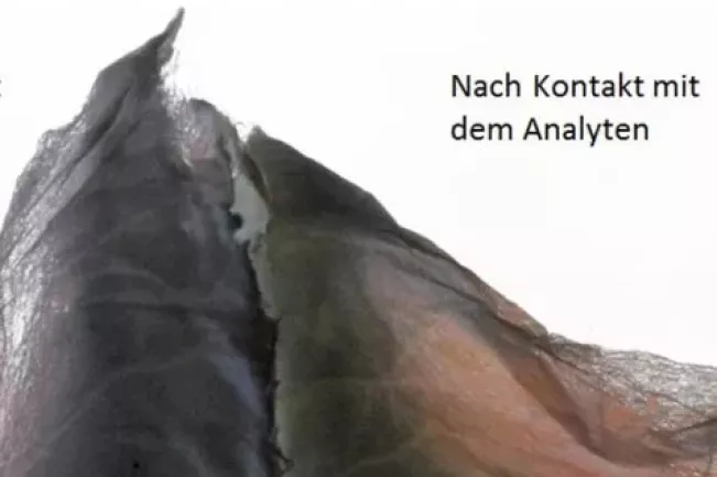 Optospin Kontakt mit Analyten