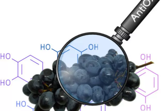 Bergrath2025 ACSOmega