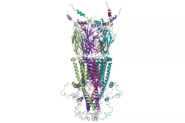 09-02-2026 Ionenproteinmodell nAChR_a7_von Dr. Karl Kirschner
