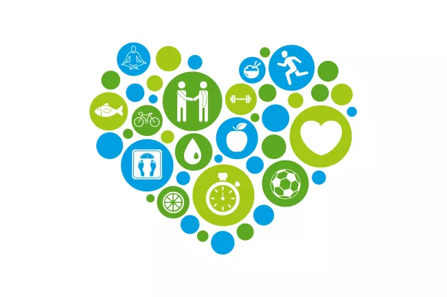 Herz der Gesunden Hochschule