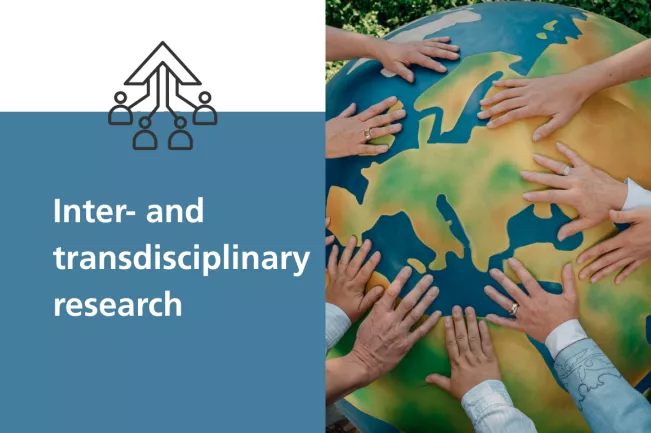 Teaserbild Inter- und Transdisziplinäre Forschung IZNE - EN