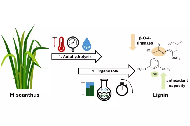 2026_ACS_Rumpf et al