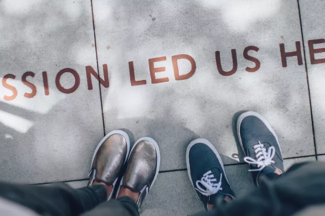 centim-ian-schneider-tammbr4okv4-unsplash.jpg (DE)