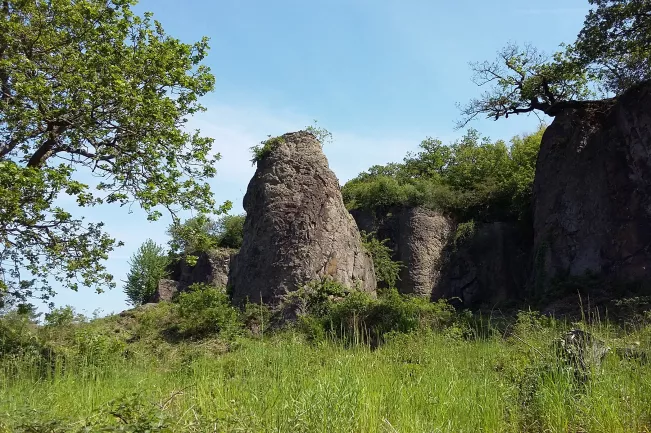 mutke-siebengebirge.jpg (DE)